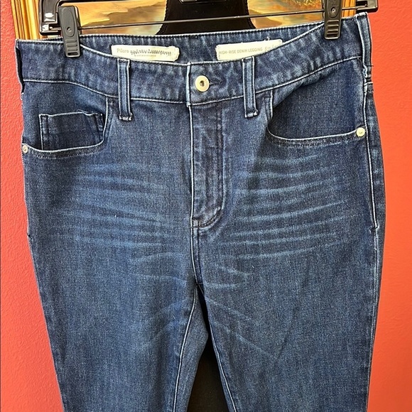 Anthropologie Pilrco High Rise Skinny Jeans Leggings - Picture 3 of 10